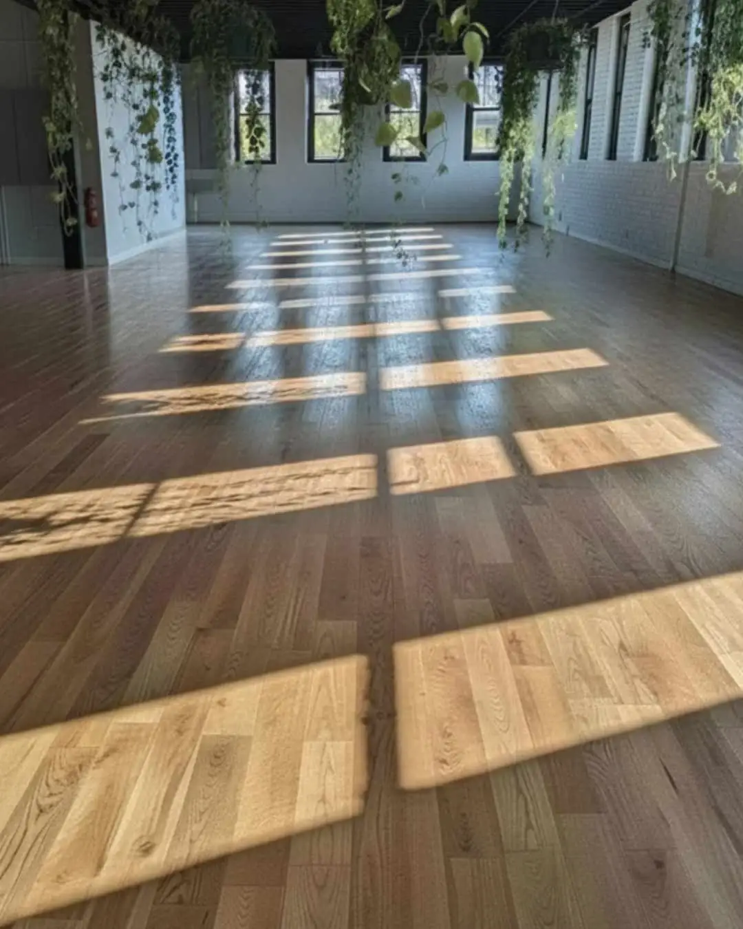 Sunlit wooden floors in the Brooklyn studio